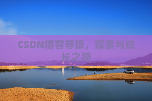 CSDN博客等级，探索与成长之路